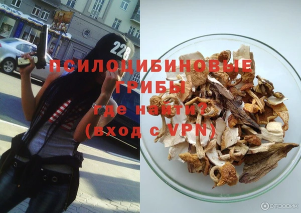 крисы Армянск