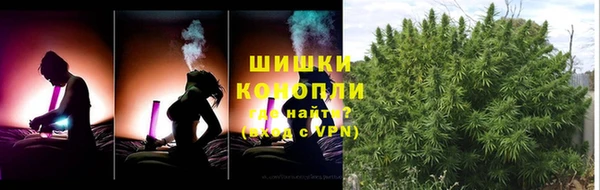 крисы Армянск
