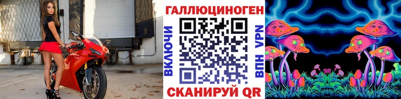 хочу наркоту  Усолье-Сибирское  Галлюциногенные грибы Psilocybe 
